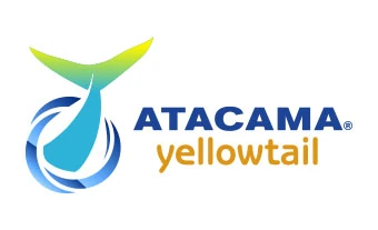 Atacama Yellowtail