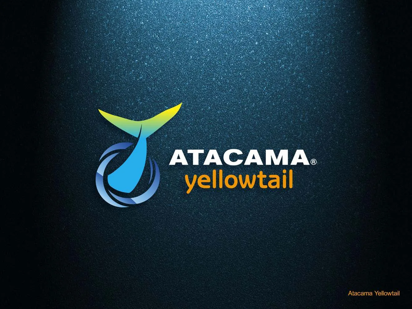 Logotipo Atacama Yellowtail: isotipo de cola de pez en degradado azul y amarillo.