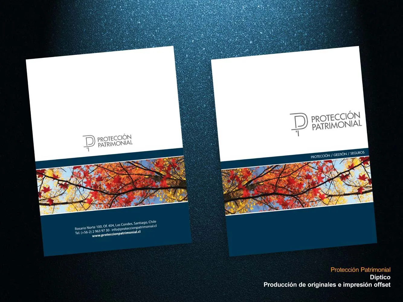 Portada de díptico corporativo de Protección Patrimonial.